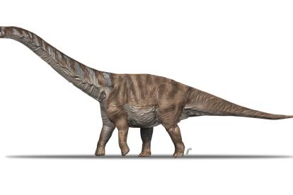 Reproducción del dinosaurio titanosaurio Abditosaurus kuehnei cedida por el Institut Català de Paleontologia.