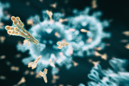 El estudio confirmaría la inmunidad innata, que ya existe para otros virus, ahora con el Sars-Cov-2