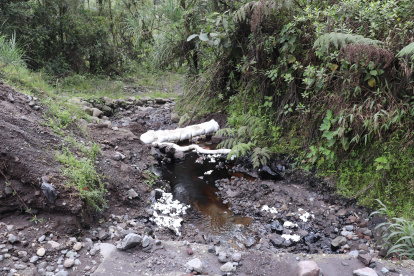Residuos. El Ministerio de Ambiente supervisa las labores de limpieza en el sector Piedra Fina, provincia de Napo.