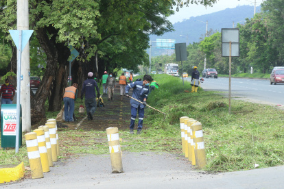 Acciones. Ayer hubo un brigada de fumigación y para cortar maleza a lo largo de toda la vía a la costa.