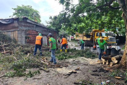 Retiran Arbol Caido en Chongo