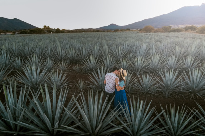 Jaz y Stevie en Tequila, México.