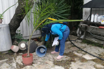 Desde que hubo la alerta del caso, en la ciudad se han incrementado los fumigaciones.