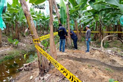 Agrocalidad asegura estar realizando constantes monitoreos; en el 2021, dice, se ejecutaron más de 21.000. No obstante, esto no llega a todas las plantaciones afectadas.
