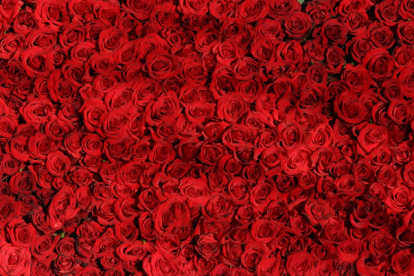 20.112 toneladas salieron desde el Aeropuerto Internacional Mariscal Sucre.