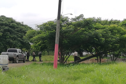 Los gendarmes llegaron al sitio donde se escucharon disparos y hallaron el cadáver de un hombre que había sido tiroteado. También hallaron una camioneta y a otro hombre.