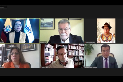 El pleno del Consejo Nacional Electoral sesionó de manera virtual.