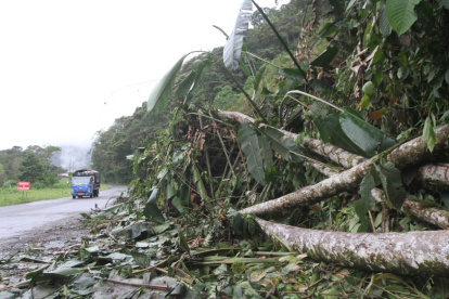 Arboles caídos, tierra y piedras al filo de la vía hasta ser removido.