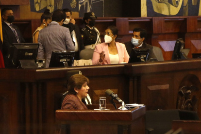 Defensa. Ruth Arregui repitió ante el Pleno de la Asamblea los argumentos que ya expuso en la Comisión de Fiscalización. Esta vez no fue escuchada.