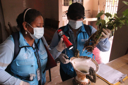 El Ministerio de Salud afirma que personal de la entidad acudió por dos semanas al sector de vía a la Costa y no halló al mosquito portador