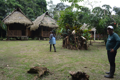 Para cuidar el legendario ceibo se prohíbe la tala de los árboles. Esta comunidad conserva sus bosques primarios.