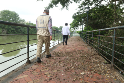 En algunos tramos del Malecón Universitario hay gran cantidad de hojas secas que caen de los árboles, frutos en descomposición y heces de iguanas y pájaros que emanan malos olores.