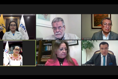 En una sesión virtual tres consejeros electorales votaron por el presupuesto. Elena Najera se abstuvo y el vicepresidente Enrique Pita votó en contra.