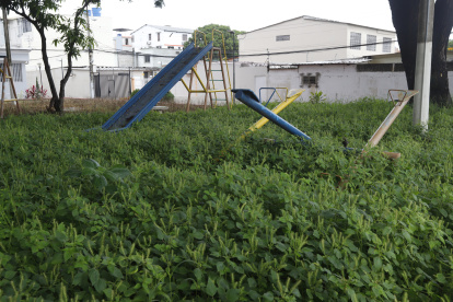 Los parques se encuentran llenos de maleza