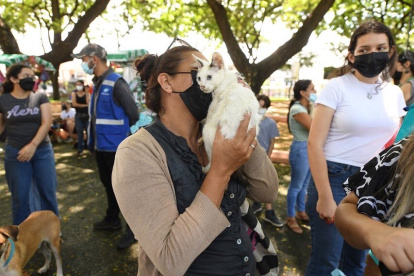 Hecho. La feria se desarrolló en el parque de la ciudadela Kennedy.