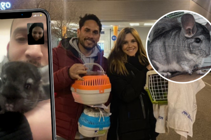 El día en que Eduardo y Ana, familiares de Érica, recibieron a las mascotas en España.