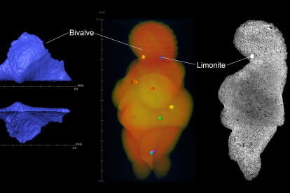 Imagen tomográfica de alta resolución usada en el estudio que ha identificado que la Venus de Willendorf, o al menos el material en el que se esculpió, procede seguramente del norte de Italia.