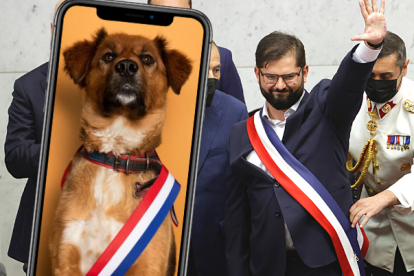 Brownie a conquistado a varios usuarios de las redes sociales.