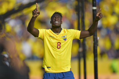Hasta el 2017 el delantero ecuatoriano Felipe Caicedo jugó con la Tricolor


TOPSHOTS Ecuador"s Felipe Caicedo celebrates after scoring against Uruguay during their Russia 2018 FIFA World Cup South American Qualifiers football match, in Quito, on November 12, 2015. AFP PHOTO / RODRIGO BUENDIA TOPSHOTS-FBL-WC-2018-ECU-URU.