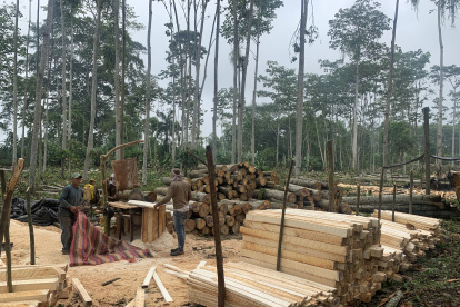 El sector terminó el 2021 con una facturación que alcanza los $ 600 millones, un 30 % menos que el año previo.