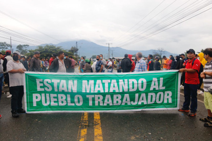 Los productores piden al Gobierno intervenir con compras, para evacuar la sobreoferta.