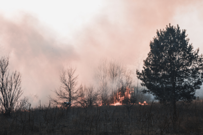 Incendios forestales