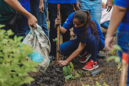 Acción. La siembra de las especies se dio en áreas naturales de la urbe.