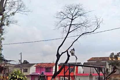 Personal de áreas verdes cortan las ramas de los arbustos