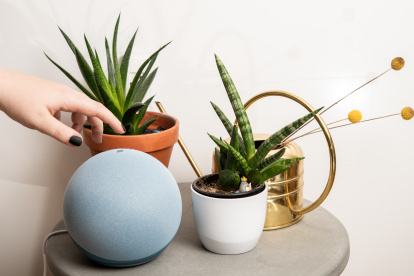 Altavoces inteligentes son de un diseño que pueden confundirse con elementos decorativos del hogar.