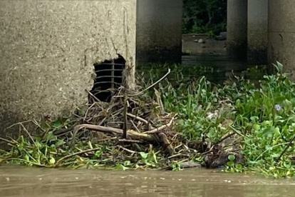 Esta es la estructura que conecta a Daule con Guayaquil, y se encuentra cerca del sector de Pascuales.