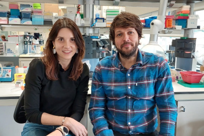 Los investigadores del Idibaps Roberta Haddad-Tóvolli y Marc Claret