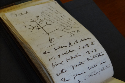 Detalle de las páginas de los dos cuadernos del naturalista Charles Darwin (1809-1882).