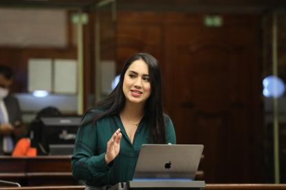 La asambleísta Johanna Moreira propuso ante el pleno del legislativo que se remita la documentación a la Corte Constitucional, por ser la única instancia que resuelve problemas de inconstitucionalidad