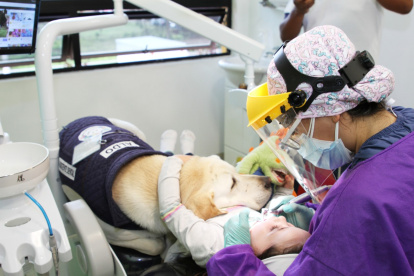 Aldo es el primer asistente dental canino de Ecuador. Trabaja para calmar a los niños.