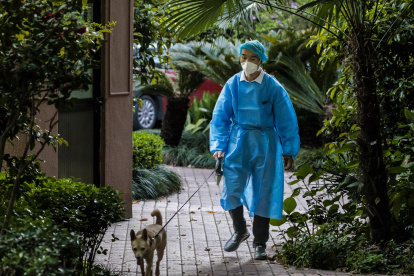 Un miembro de seguridad pasea a un perro encerrado en una comunidad residencial bajo cuarentena en Shanghai, China.