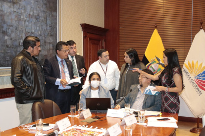 Los integrantes del CAL tuvieron varias dudas sobre los procedimientos a seguir durante la sesión de este 11 de abril.