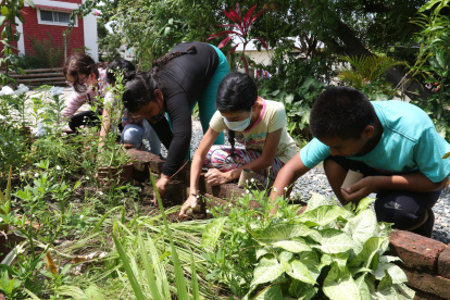 Práctica. Construir huertos es una de las actividades favoritas.