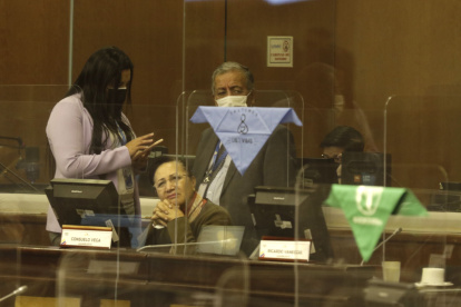 Debate en el pleno de la Asamblea.