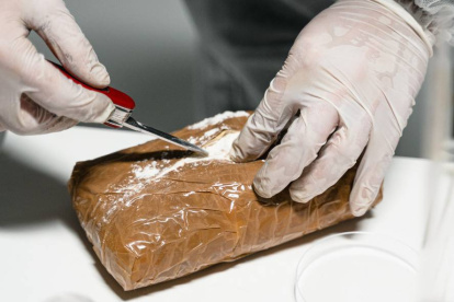 Referencial. Las fuerzas del orden señalaron que hallaron 2.461 paquetes rectangulares con el alcaloide y con ello dejaron "fuera de circulación 24.585.390 dosis".