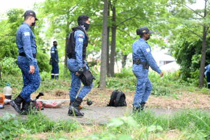 Hecho. Los operativos se ejecutaron en todos los bosques protectores.