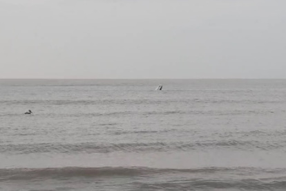 Una avioneta de la Policía Nacional que transportaba el General Edwin Francisco Noguera y a 6 elementos policiales más sufrió accidente aéreo.