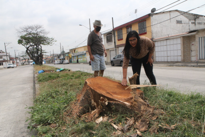 Suceso. En los últimos días se registró la poda.