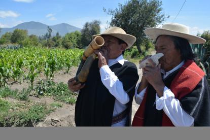 El llamado. El cuerno de toro, al igual que los churos marinos, sirvió inicialmente como medio para comunicarse a las culturas ancestrales. Eran usados también en ceremonias rituales.
