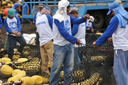 LA SEMANA PASADA SE CELEBRÓ LA SEXTA REUNIÓN DE LA ALIANZA LATINOAMERICANA PARA LA PESCA SUSTENTABLE Y LA SEGURIDAD ALIMENTARIA (ALPESCAS), DE LA CUAL LA CÁMARA NACIONAL DE PESQUERÍA DE ECUADOR FORMA PARTE DESDE 2018 | EL EVENTO TERMINÓ CON LA FIRMA DE UN ACUERDO CON BUREO INC., QUE BUSCA RECOLECTAR Y RECICLAR 1.500 TONELADAS DE REDES DE PESCA |