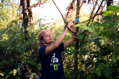 Fotografía cedida por la Fundación Charles Darwin y fechada el 9 de marzo del 2018, que muestra a la ecóloga de restauración alemana Heinke Jäger, de la Fundación Charles Darwin (FCD), mientras realiza un recorrido por el ecosistema de Galapagos (Ecuador).