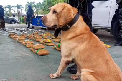 La Unidad Antinarcóticos de la Policía Nacional incautó 101 kilos de marihuana este fin de semana en Esmeraldas.