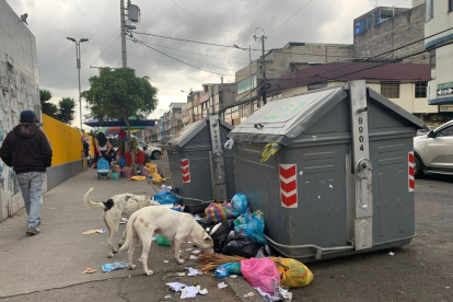 Perros. El problema no es solo la falta de capacidad de los contenedores, sino que la gente deja la basura donde quiere y eso atrae a perros, ratas y mosquitos.
