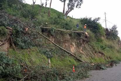 En el barrio 18 de Septiembre, por el Comité del Pueblo, al norte, se cortaron los árboles que estaban por caer sobre las casas. Tardaron dos días.