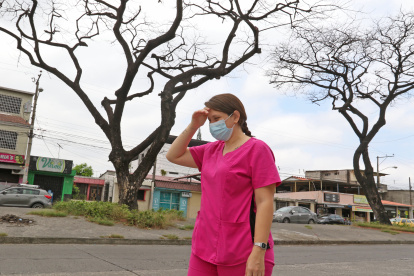 En Samanes, así permanecen los árboles: algunos talados, otros secos, sin hojas.
