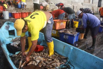 Aplicación. La UE busca que Ecuador mejore sus controles y eleve sus estándares con la pesca ilegal.